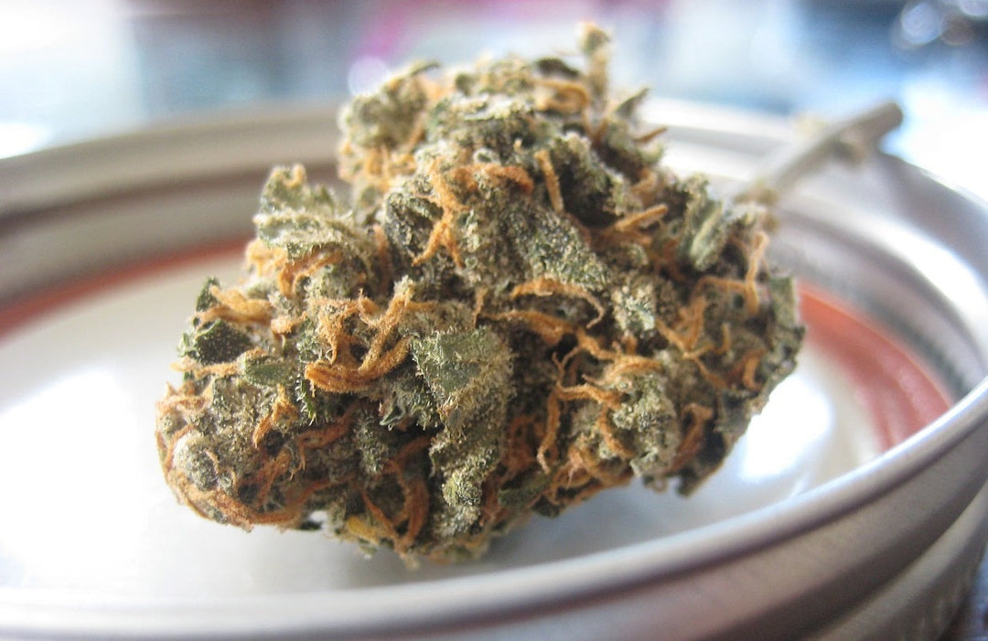 Die besten CBD Blüten & bester CBD Hasch der Schweiz