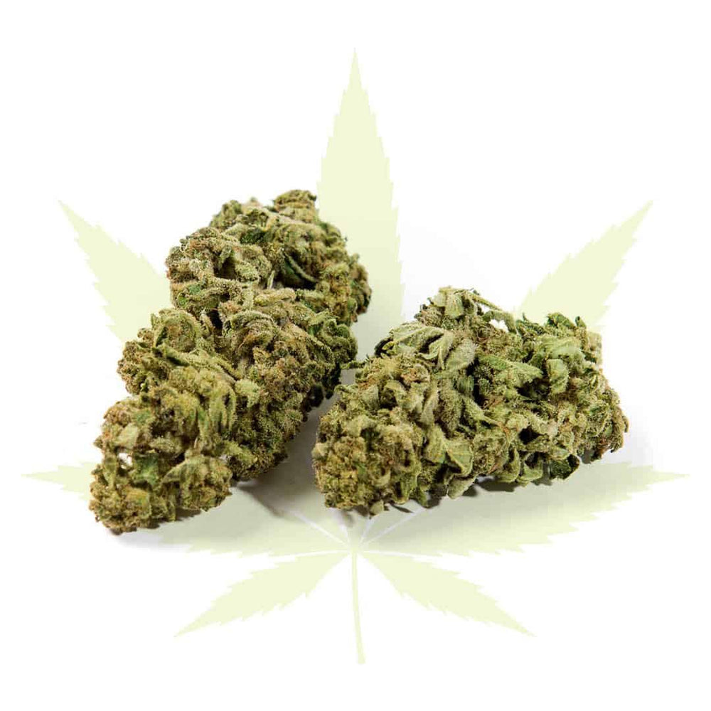 Green One Indoor - firstclass CBD - CBD Discounter