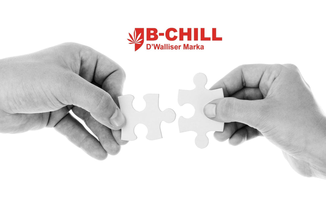Partnerschaft mit B-Chill - CBD Discounter