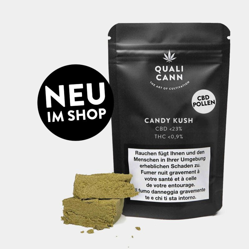 CBD Hasch kaufen