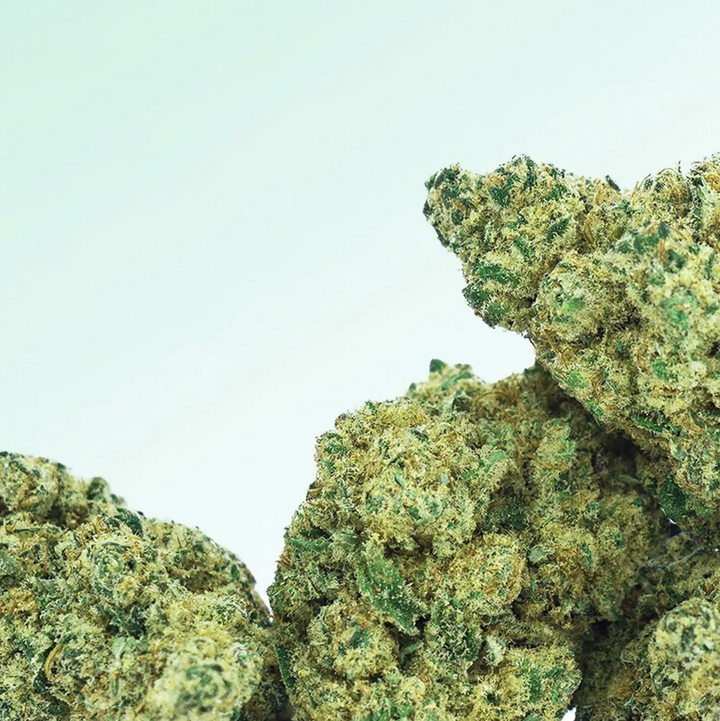 Local Weed Gorilla Glue Indoor