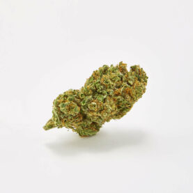 Sweed - Golden Green Indoor - 10g
