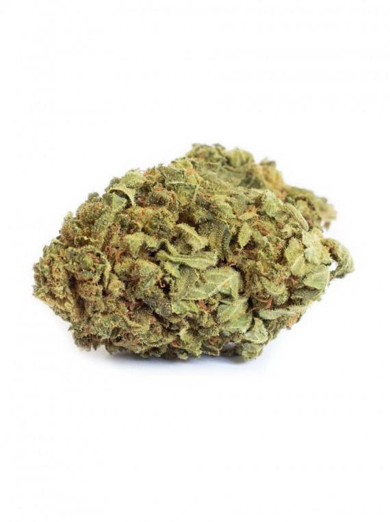 Royal Candy Indoor - B-Chill - CBD Discounter
